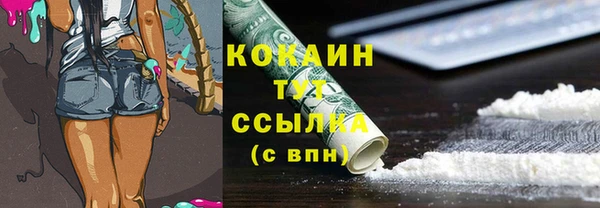 ешки Лагань