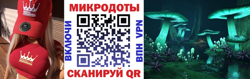 купить наркотики сайты  Чапаевск  Галлюциногенные грибы мухоморы 