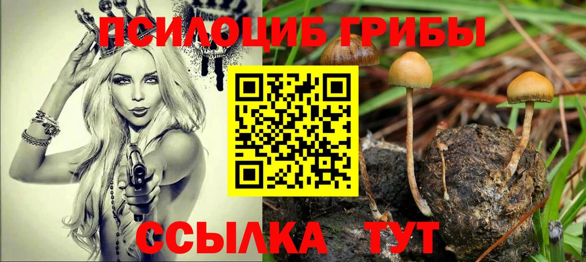 Псилоцибиновые грибы GOLDEN TEACHER Чапаевск