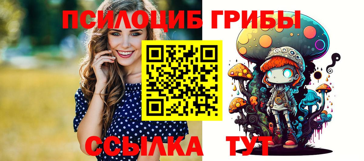 Чапаевск  Псилоцибиновые грибы Psilocybe  Псилоцибиновые грибы Cubensis  Вход с VPN 
