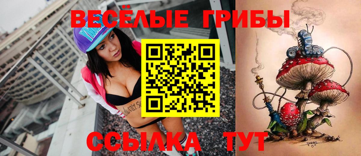 Псилоцибиновые грибы прущие грибы  Галлюциногенные грибы прущие грибы  Чапаевск 